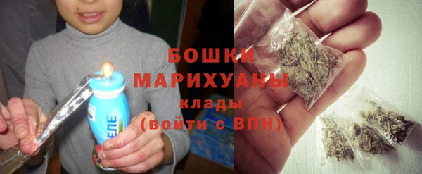индика Покровск
