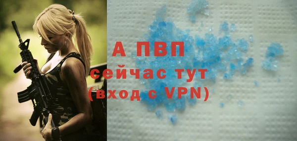 индика Покровск