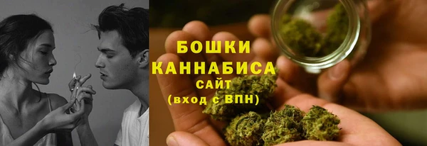 индика Покровск
