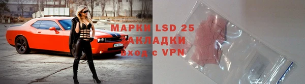 apvp Пестово