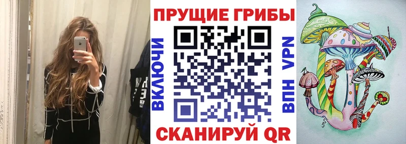 Галлюциногенные грибы GOLDEN TEACHER  гидра ССЫЛКА  Приозерск 